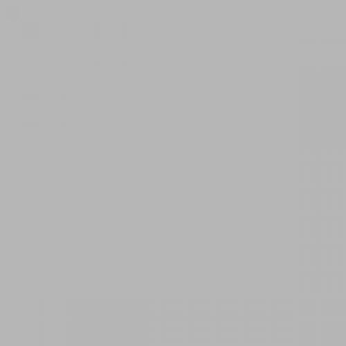 British Standard BS 4800 18-B-19 Grey