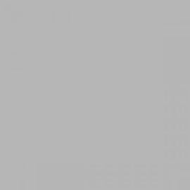 British Standard BS 4800 18-B-19 Grey