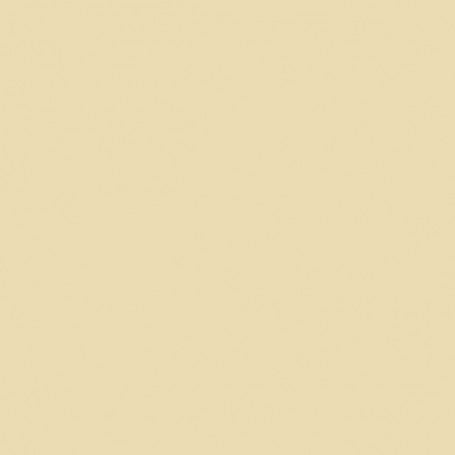 Farrow & Ball No 10 Fawn