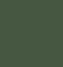 Farrow & Ball No W55 Duck Green