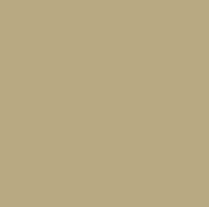 Farrow & Ball No 38 Biscuit