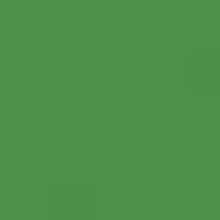 Load image into Gallery viewer, RAL 6017 May Green