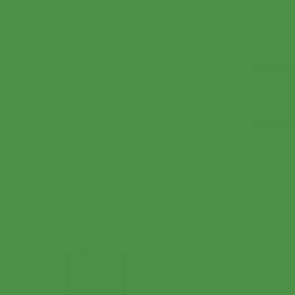 RAL 6017 May Green