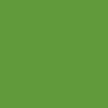 Load image into Gallery viewer, RAL 6018 Yellow Green