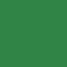 RAL 6024 Traffic Green